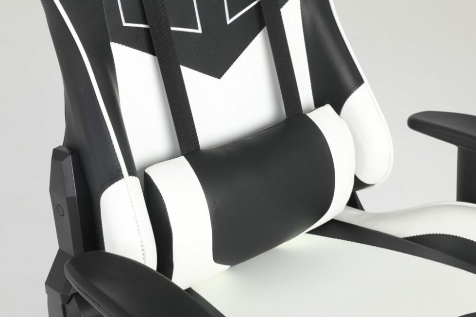 Egeira Gaming Chair Black & White E-488T