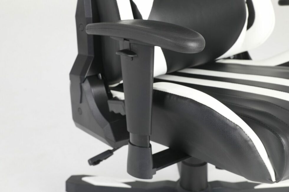 Egeira Gaming Chair Black & White E-348T