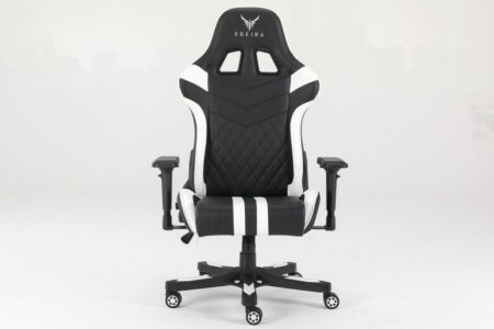 Egeira Gaming Chair  Black & White E-348